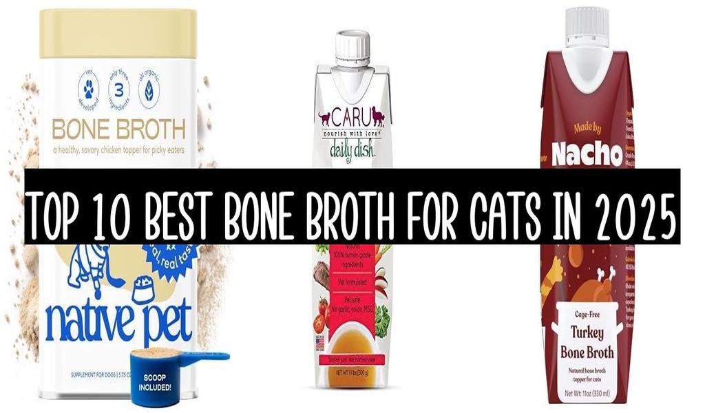 Top 10 Best Bone Broth For Cats In 2025