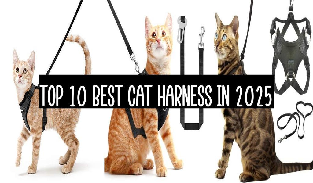 Top 10 Best Cat Harness In 2025