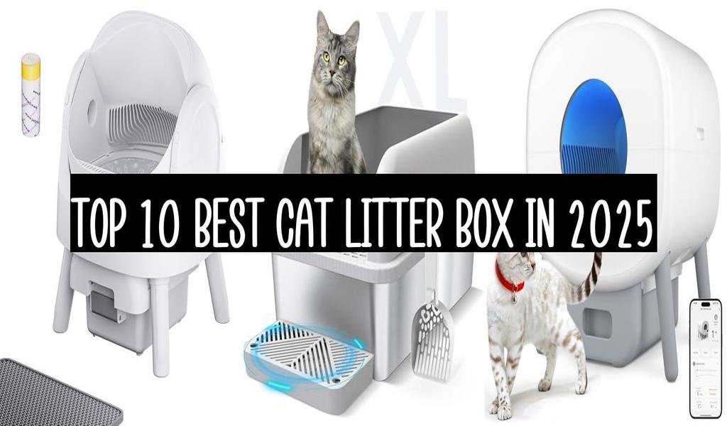 Top 10 Best Cat Litter Box In 2025