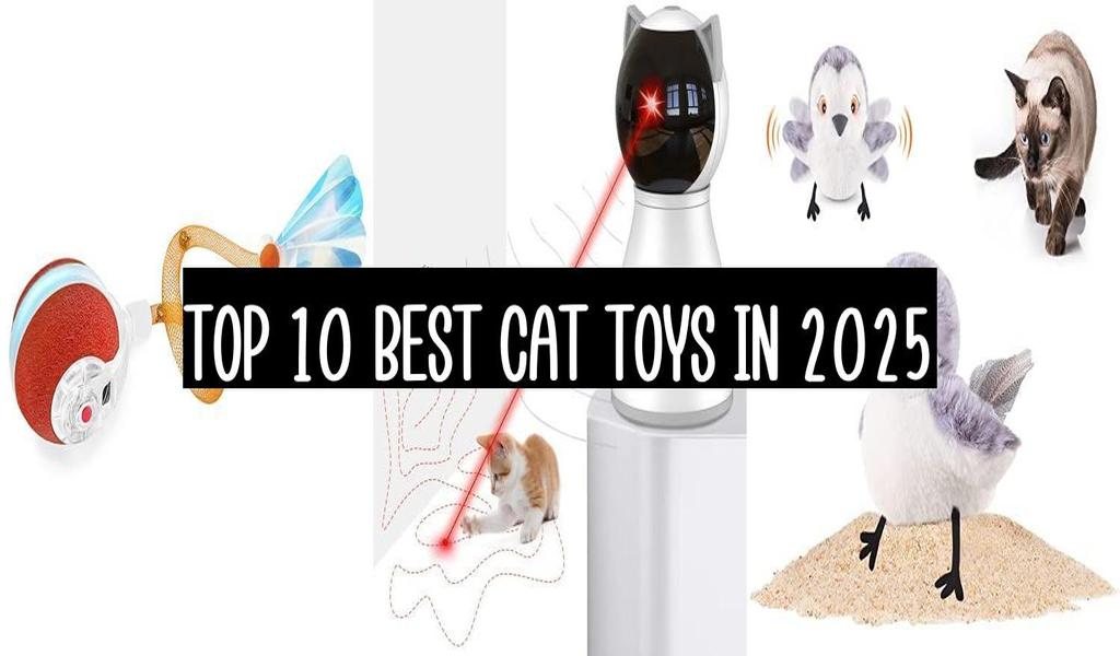 Top 10 Best Cat Toys In 2025