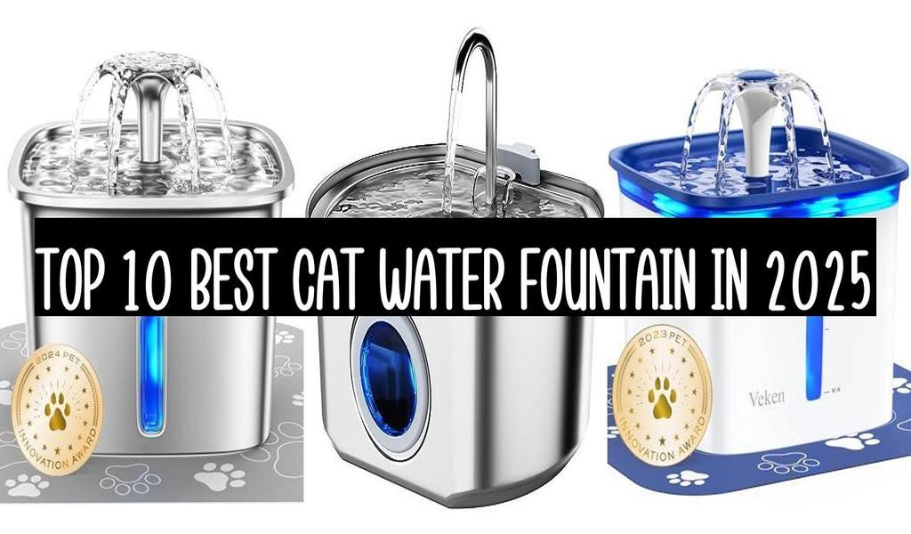 Top 10 Best Cat Water Fountain In 2025