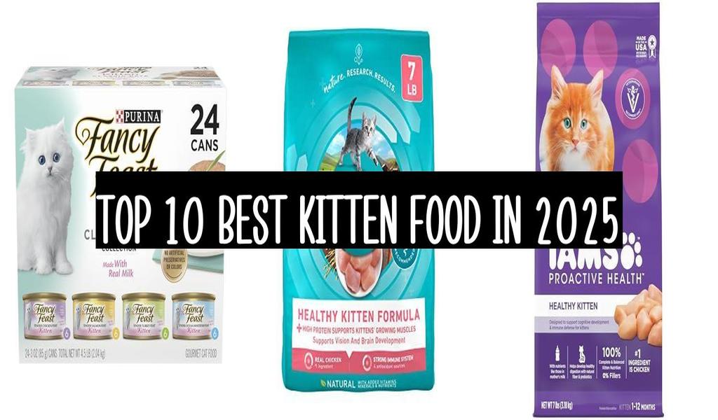 Top 10 Best Kitten Food In 2025