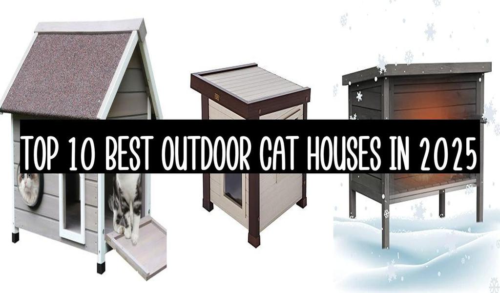 Top 10 Best Outdoor Cat Houses In 2025