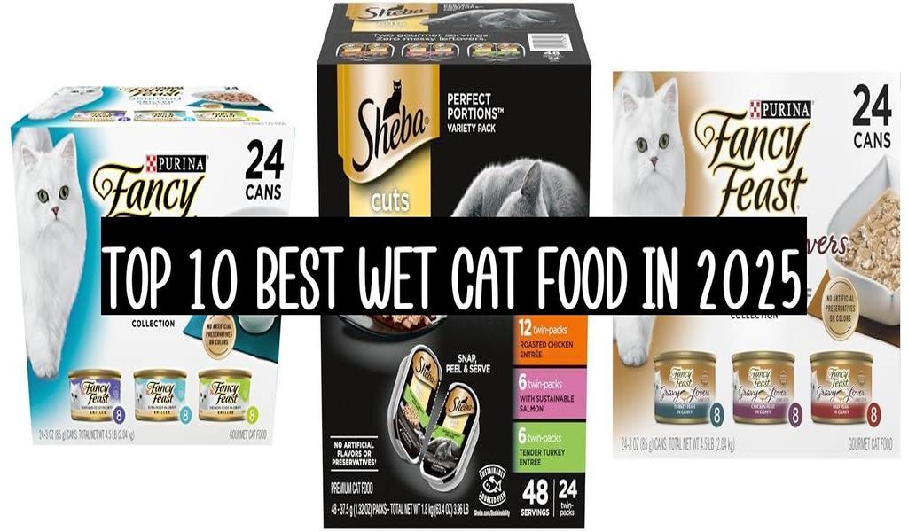 Top 10 Best Wet Cat Food In 2025