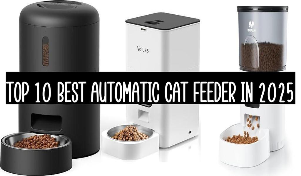 Top 10 Best Automatic Cat Feeder In 2025